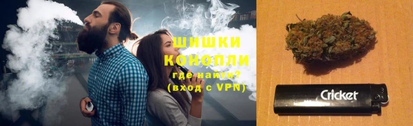 шишки Алексин