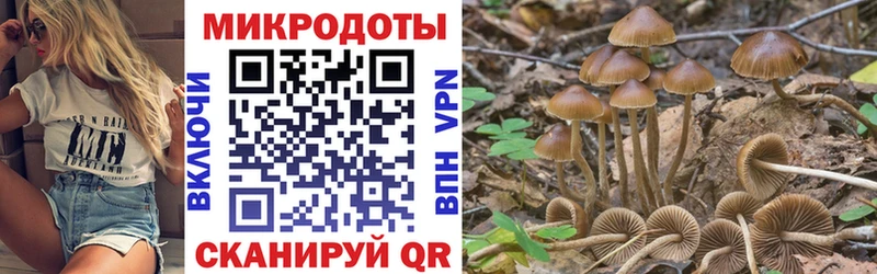 мориарти формула Таганрог Галлюциногенные грибы GOLDEN TEACHER